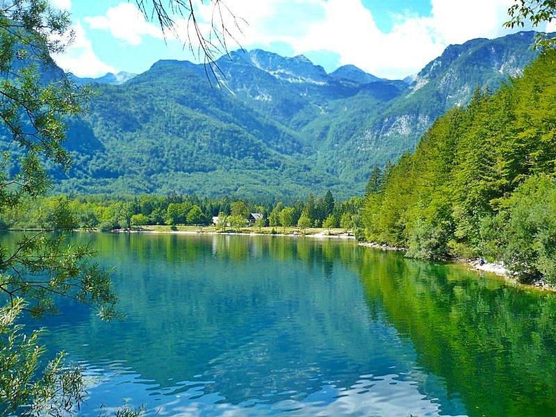 Lake Bohinj mountain lake with forested shoreline and clear teal water under alpine peaks.