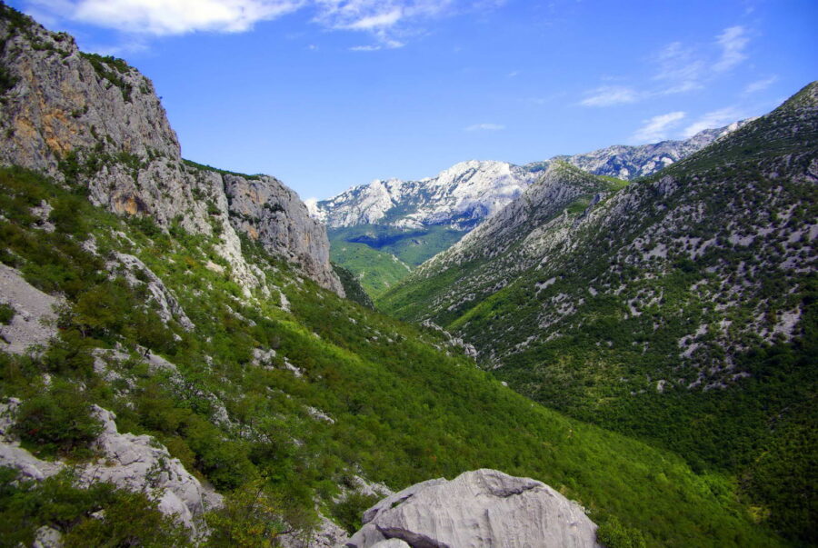 Breathtaking canyon landscape with rugged mountains, lush greenery, and misty snow-capped peaks.