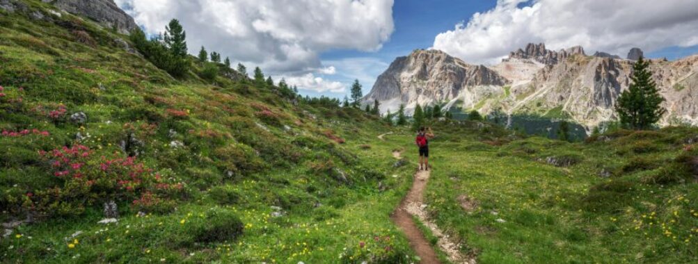 Idyllic mountain landscape with hiker, wildflowers, meadow, and scenic trail.