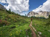 Idyllic mountain landscape with hiker, wildflowers, meadow, and scenic trail.