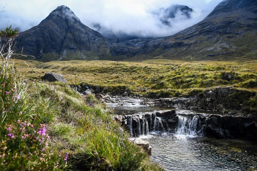 Majestic mountains, serene stream, vibrant flowers create a stunning natural landscape scene.