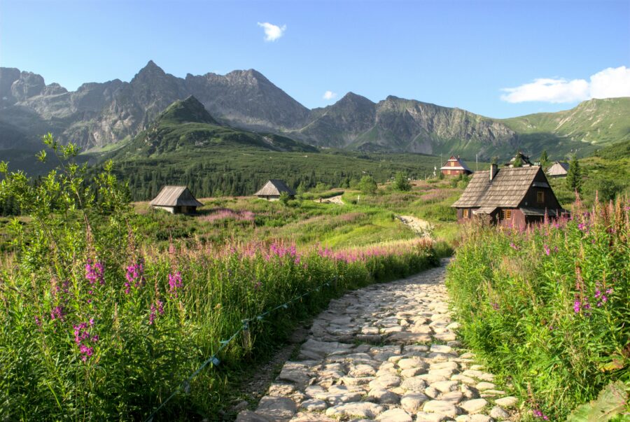 Sunlit mountain meadow with cobblestone path, wildflowers, and wooden cottages beneath rocky peaks.