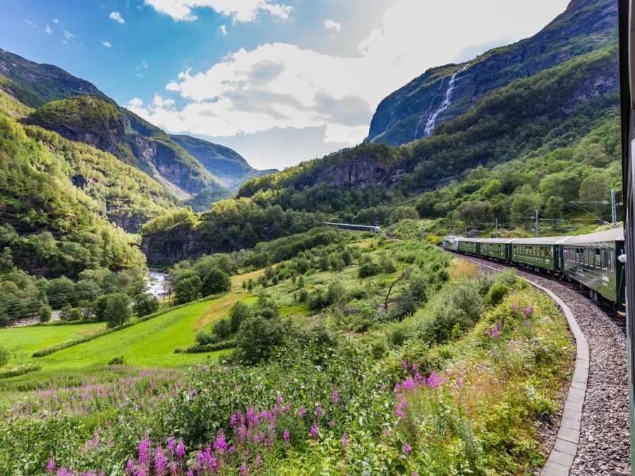 Scenic Train Journey Through Lush Mountain Valley