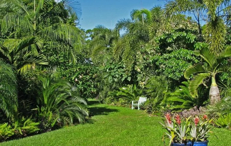 Mounts Botanical Garden
