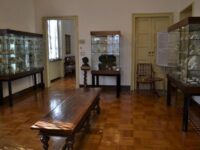 Museum Giuseppe Gianetti