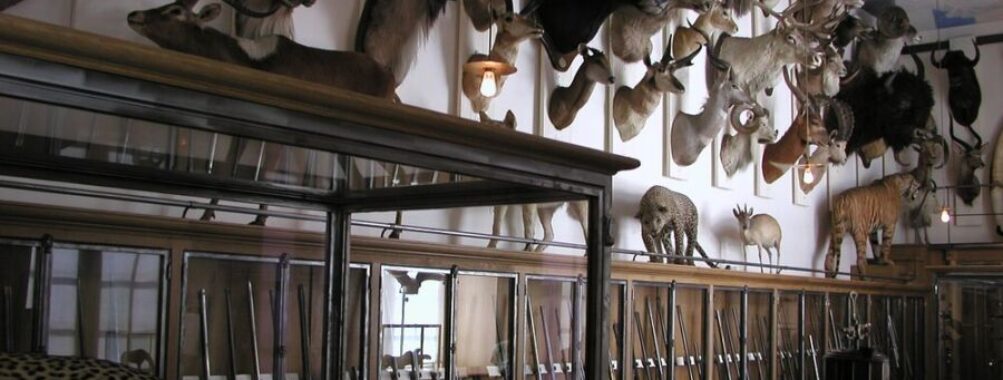 Museum of Hunting and Nature