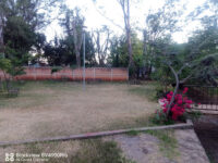 músico Park Travel Forum Reviews