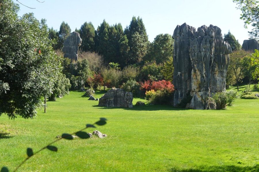Naigu Stone Forest Scenic Area （Southeast Gate 2）