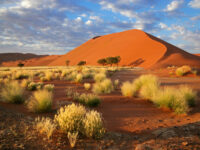 Expansive desert landscape of Sossusvlei, Namibia, showcasing towering sand dunes under a clear blue sky