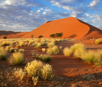 Expansive desert landscape of Sossusvlei, Namibia, showcasing towering sand dunes under a clear blue sky