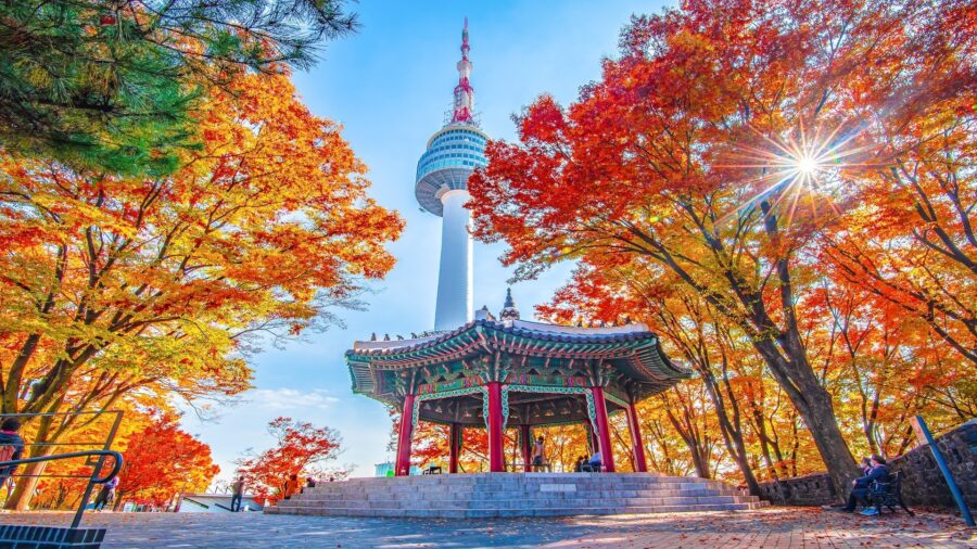 Namsan Tower and pavilion, autumn leaves in vibrant Seoul, Korea’s cultural and natural harmony.