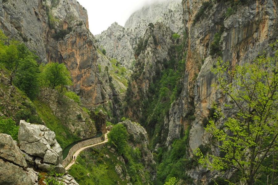 Cares Gorge narrow limestone canyon with cliffside walkway and spring greenery.