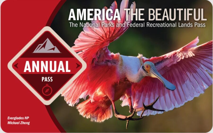 national parks pass roseate spoonbill
