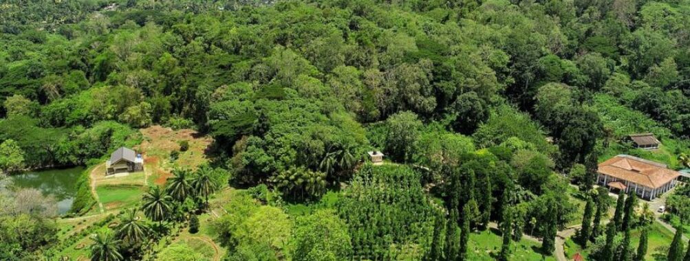 view from the top of National Spice Garden