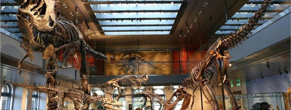 Natural History Museum of Los Angeles County
