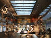 Natural History Museum of Los Angeles County