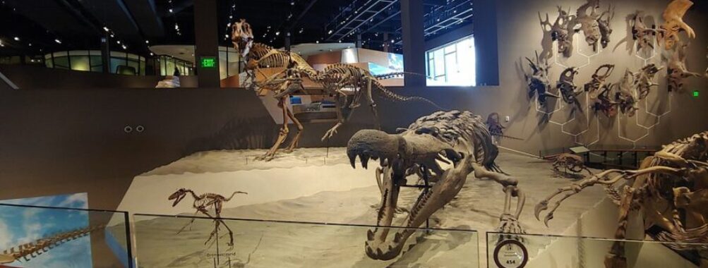 Natural History Museum of Utah