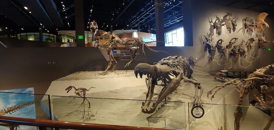 Natural History Museum of Utah