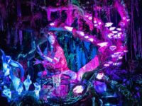 Na'vi River Journey