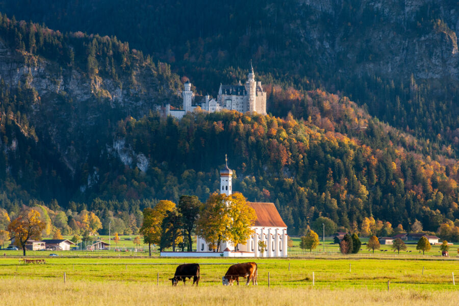 Neuschwanstein Castle stands majestically on a hill in the Bavarian Alps, with Hohenschwangau village below