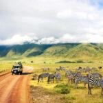 Wild nature of Africa. Zebras against mountains and clouds.
