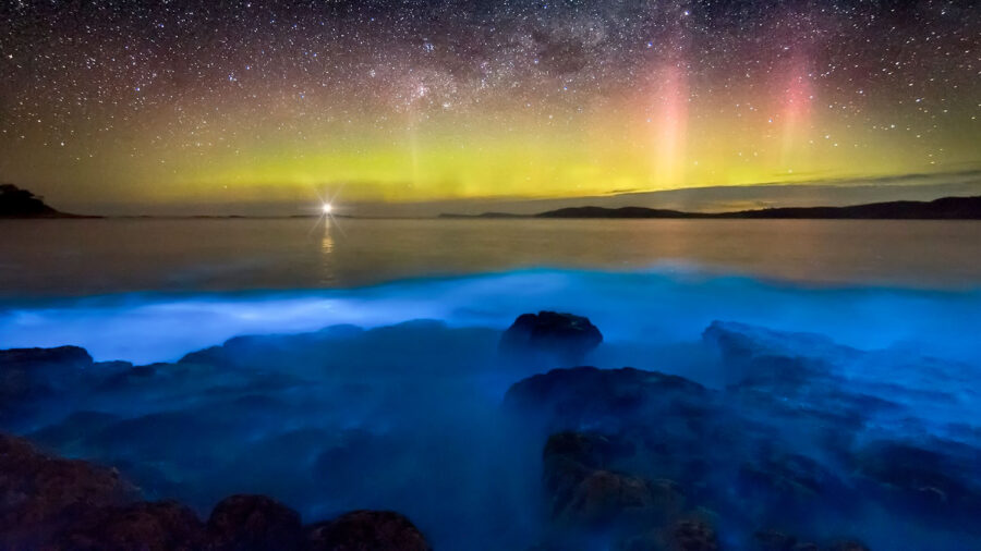 Bioluminescent shoreline under starry night sky with aurora pillars over tranquil ocean.