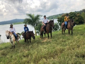 Nile Horseback Safaris