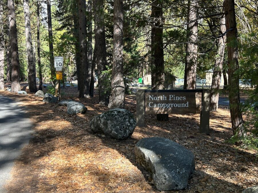 Sign for North Pines Campground in Yosemite National Park, surrounded by trees in a serene woodland setting.