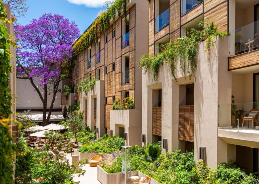 The courtyard of NUMU Boutique Hotel features lush plants surrounding a tranquil outdoor space for relaxation.

