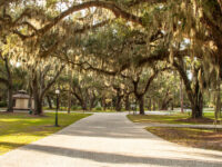 Oak Alley on Jekyll Island, Georgia, showcasing a picturesque pathway lined with towering oak trees and lush greenery.
