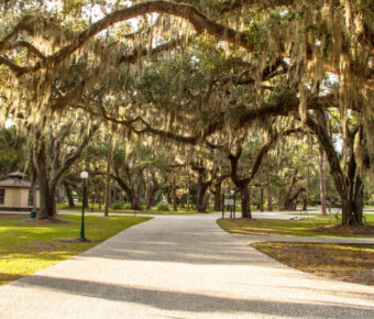 Oak Alley on Jekyll Island, Georgia, showcasing a picturesque pathway lined with towering oak trees and lush greenery.