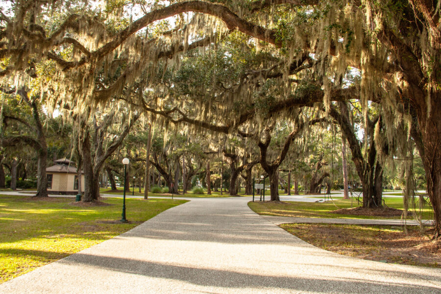 oak alley jekyll island georgia