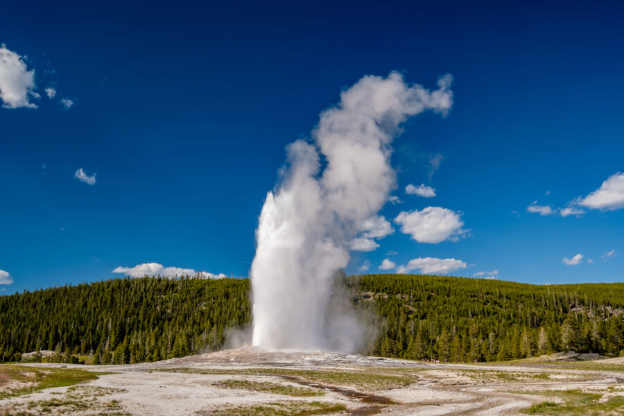 Old Faithful geyser erupting in Yellowstone National Park, showcasing a powerful water spout against a clear blue sky.