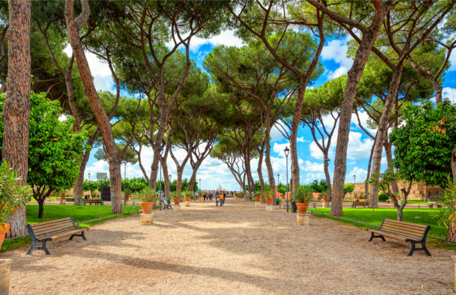 The Orange Garden in Rome, featuring vibrant orange trees and stunning views of the surrounding landscape