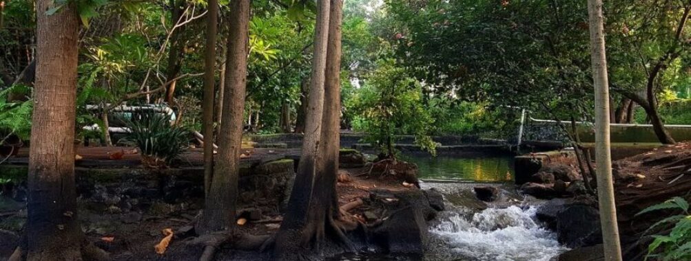 Osho Teerth Park