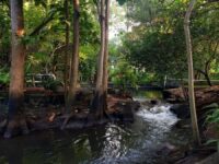 Osho Teerth Park