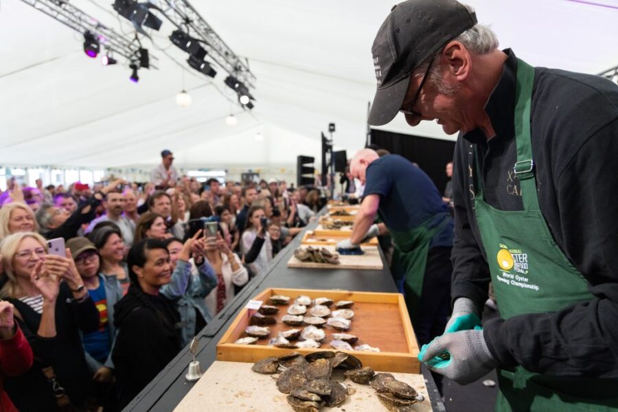Oyster shucking contest at Galway International Oyster Festival under tent with crowd.