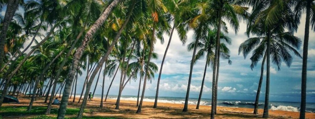 Padinjarekkara Azhimukham Beach