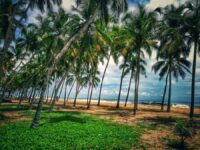 Padinjarekkara Azhimukham Beach