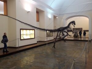 Paleontological Museum