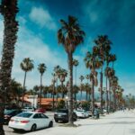 Palm-lined promenade with cars, building, and beachgoers on a sunny coastal day.
