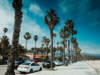 Palm-lined promenade with cars, building, and beachgoers on a sunny coastal day.