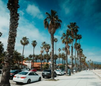 Palm-lined promenade with cars, building, and beachgoers on a sunny coastal day.