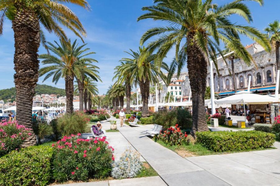 Palm-lined promenade with colorful flowers, waterfront views, and vibrant architecture under a sunny sky.