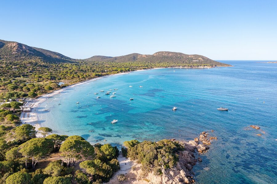 Aerial view of Palombaggia beach in Corsica, showcasing golden sand and vibrant blue water.