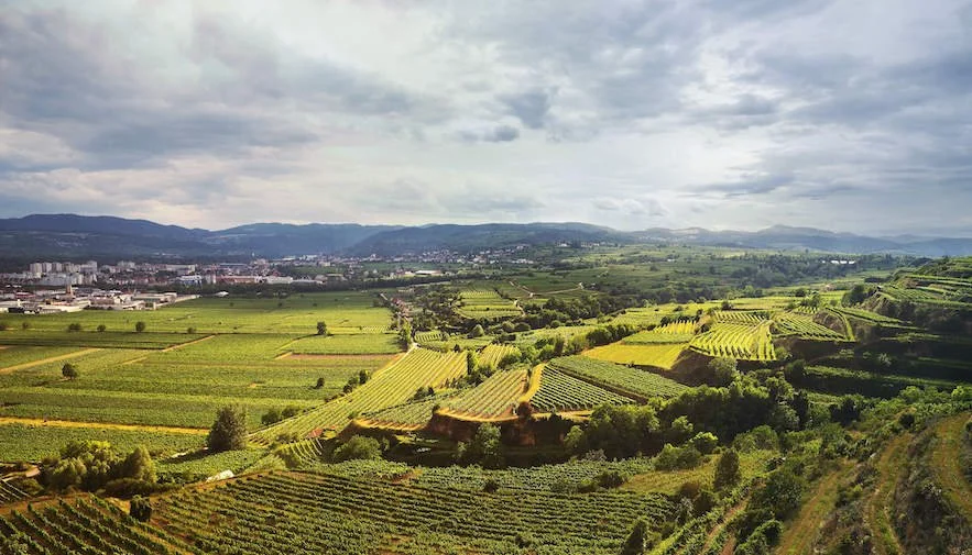 Panoramic Kremstal Austrian terraced vineyards and rural fields under dramatic clouded sky.