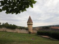 Parc de Cluny
