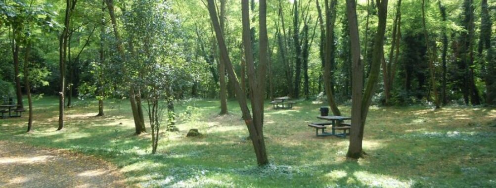 Parc des Côteaux d’Avron