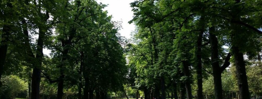 Parco della Chiusa