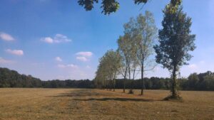 Parco delle Groane e della Brughiera Briantea